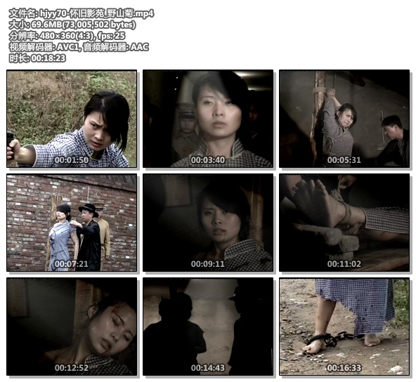 hjyy70-怀旧影苑_野山菊