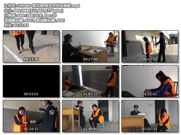 LHY065-梨花雨_网友定拍法制剧