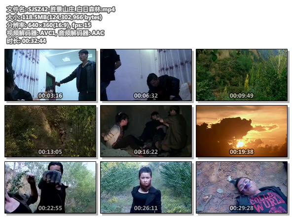 SJSZ42-胜景山庄_白日森林