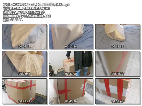 XL017-小驴定制_小海星装袋装箱挣扎