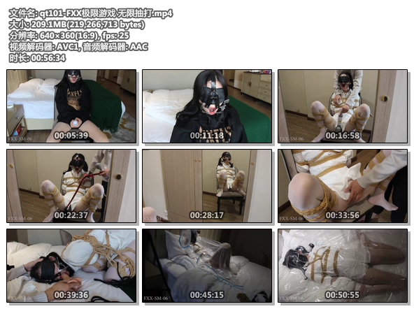 qt101-FXX极限游戏 无限抽打