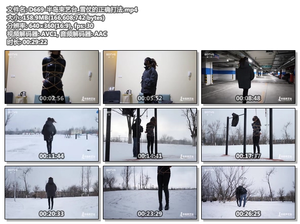 D669-半岛束艺台_雪仗的正确打法