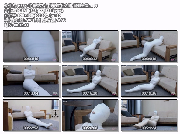 H354-半岛束艺台_我的茧化之路 缇娜主演