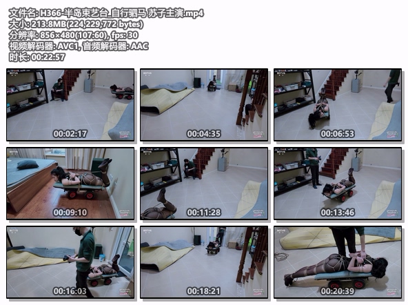 H366-半岛束艺台_自行驷马 苏子主演